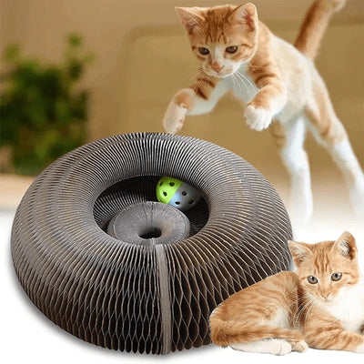 Katzen Cordion