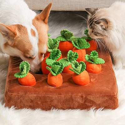 Karottenacker Hundespielzeug